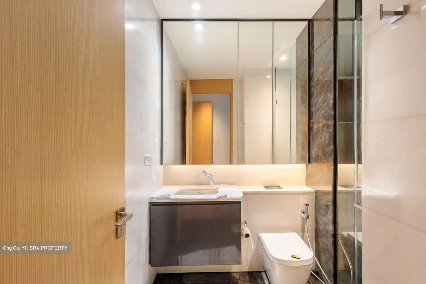 Cairnhill 16 (D9), Apartment #572531471